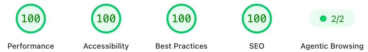 PageSpeed Performance, as of March 19, 2024. 100% Performance, 100% Accesibility, 100% Best Practices, 100% SEO.
