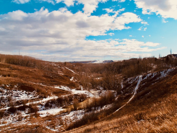 Afternoon Walk in the Coulee
