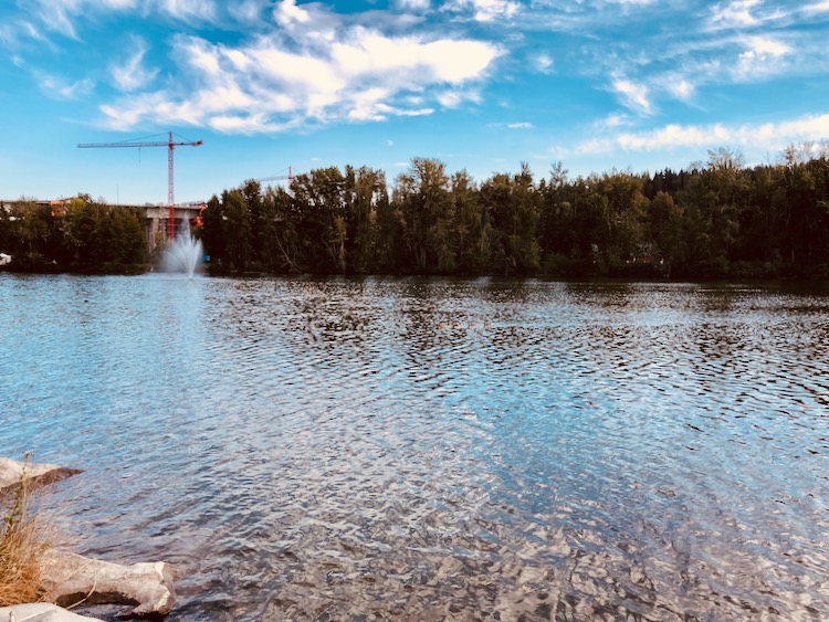 shrine pond