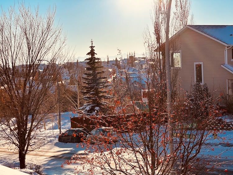 home office view at 77mm telephoto