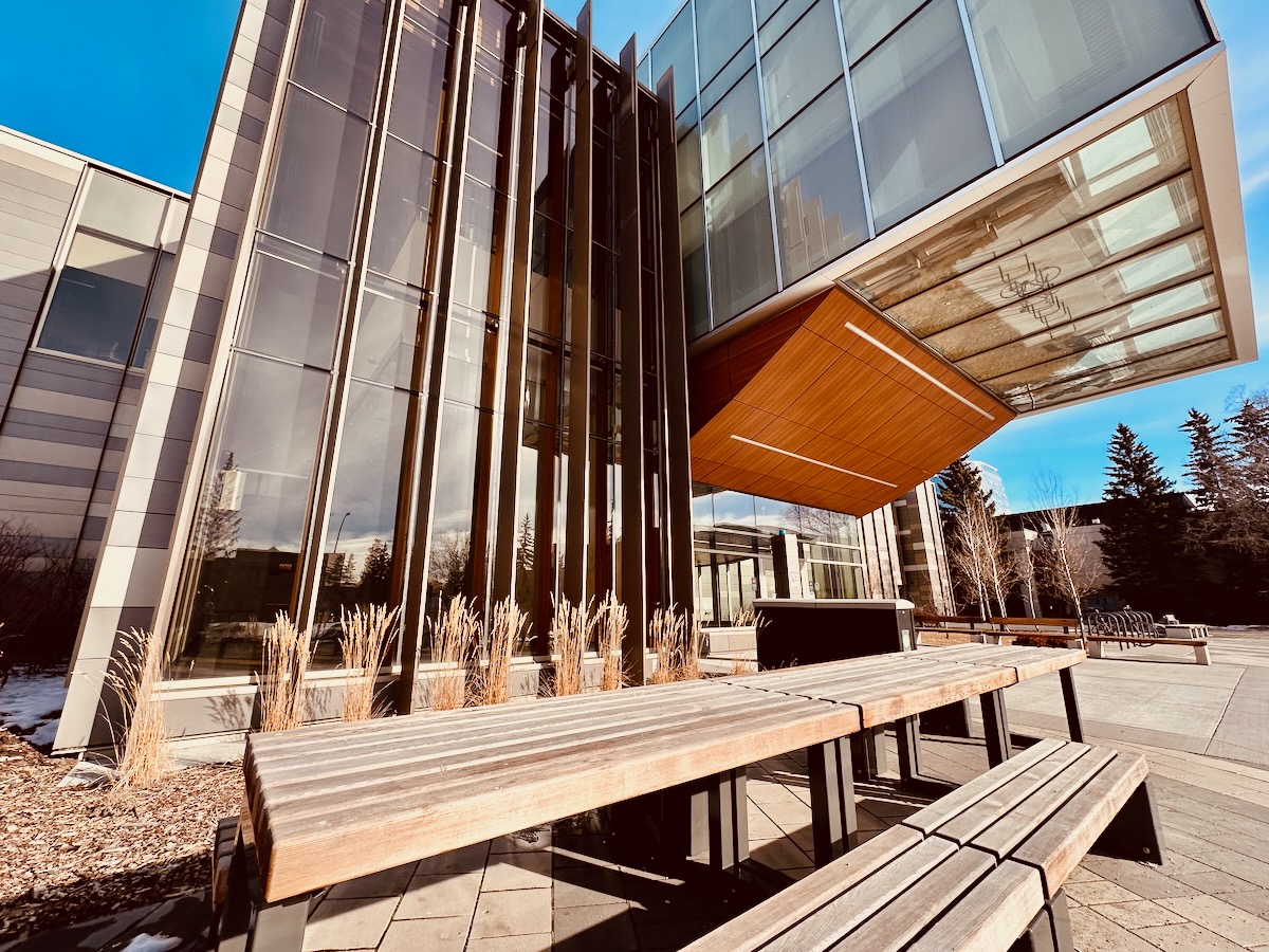 afternoon sunny bench