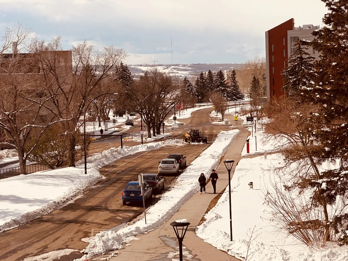 digging out campus boulevard