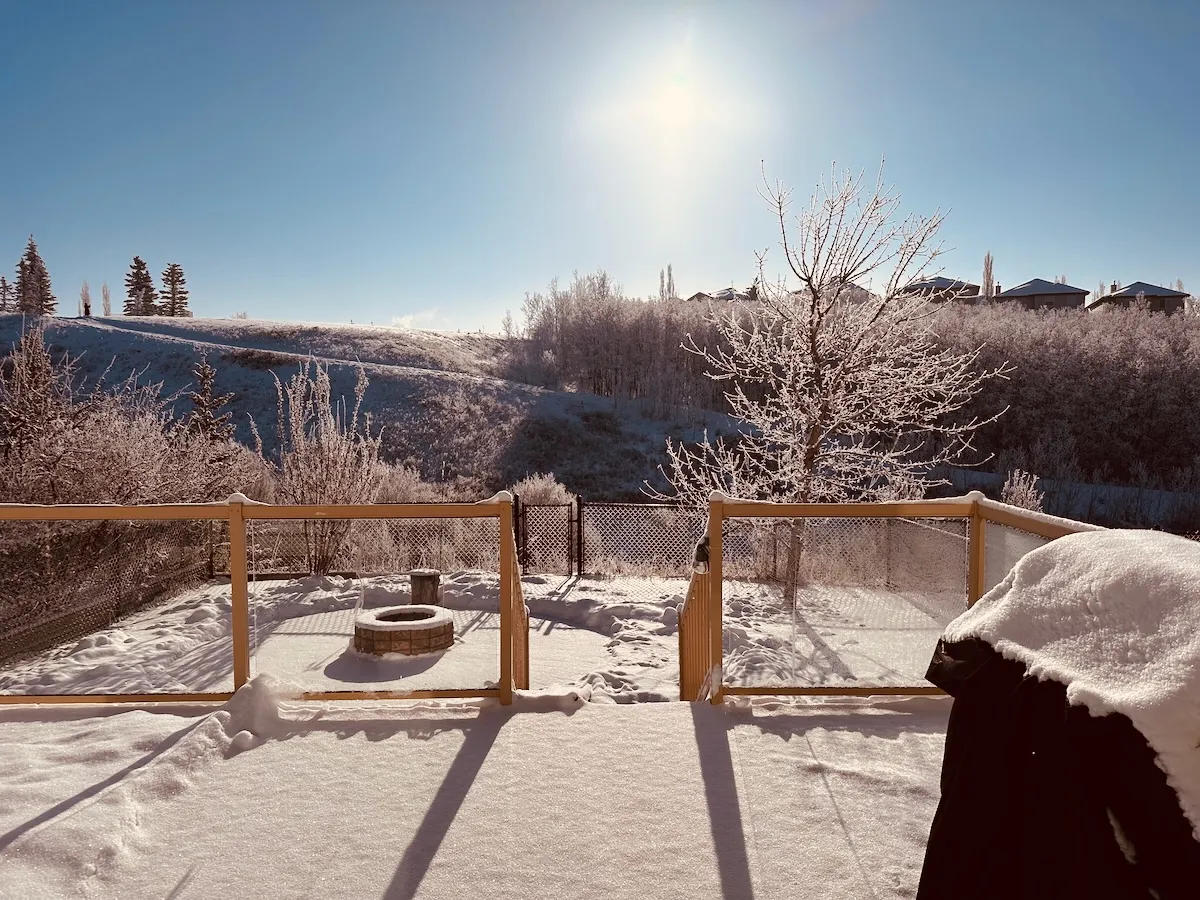 frosty blue sky morning