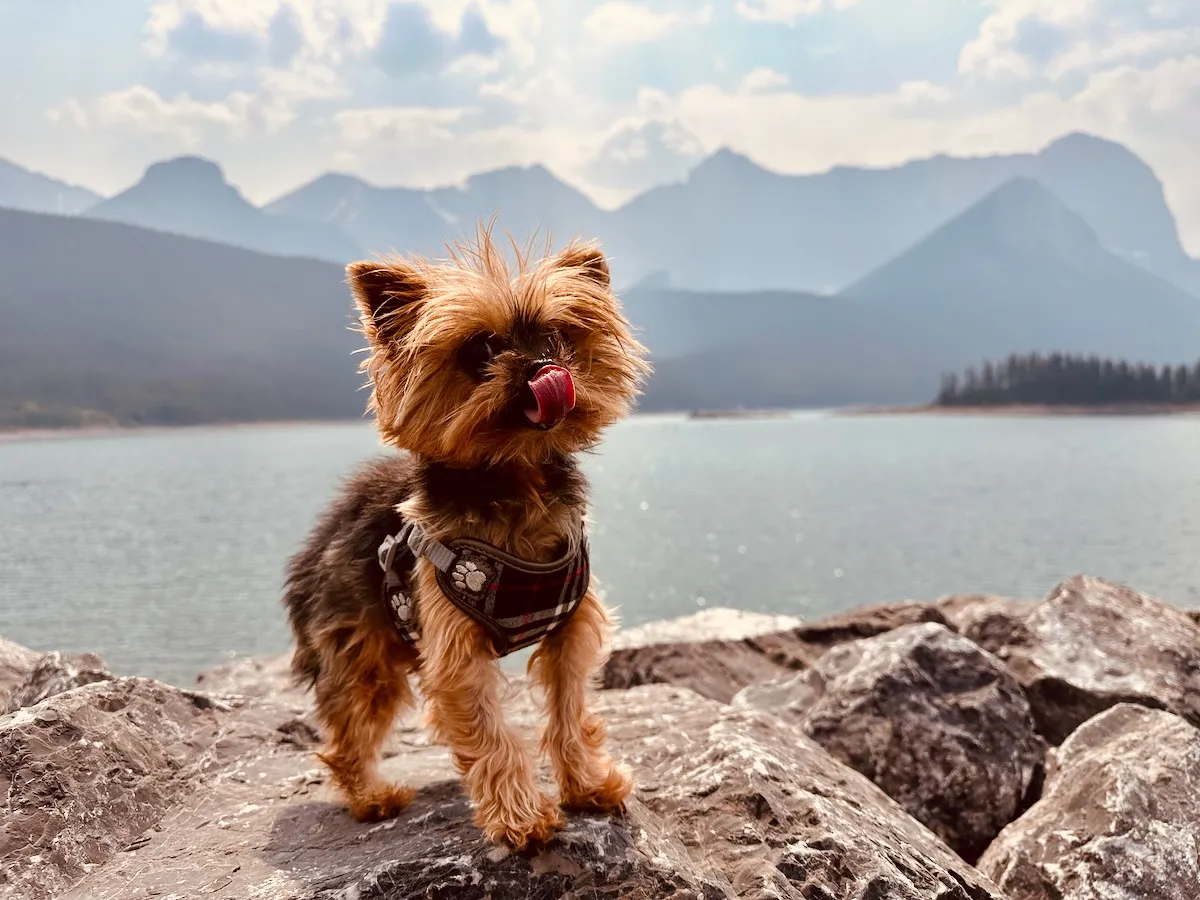 kananaskis adventure