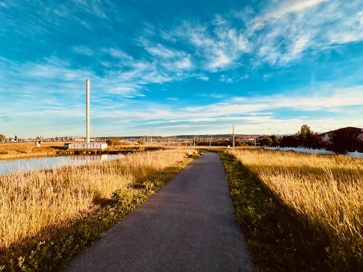 evening walk