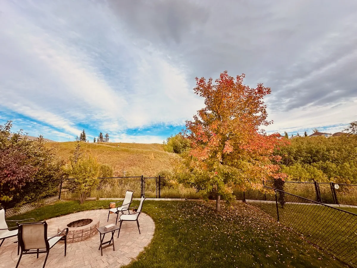 autumn backyard