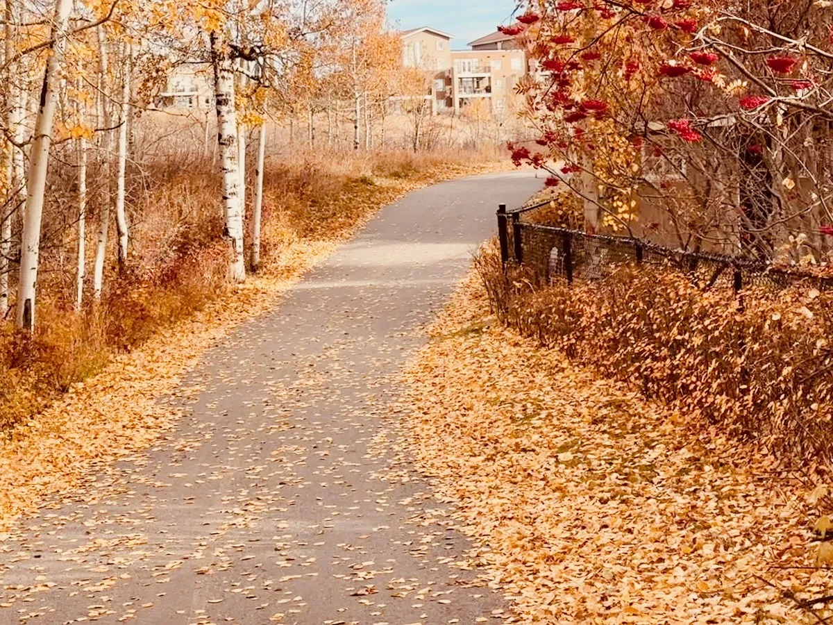 autumn along the coulee