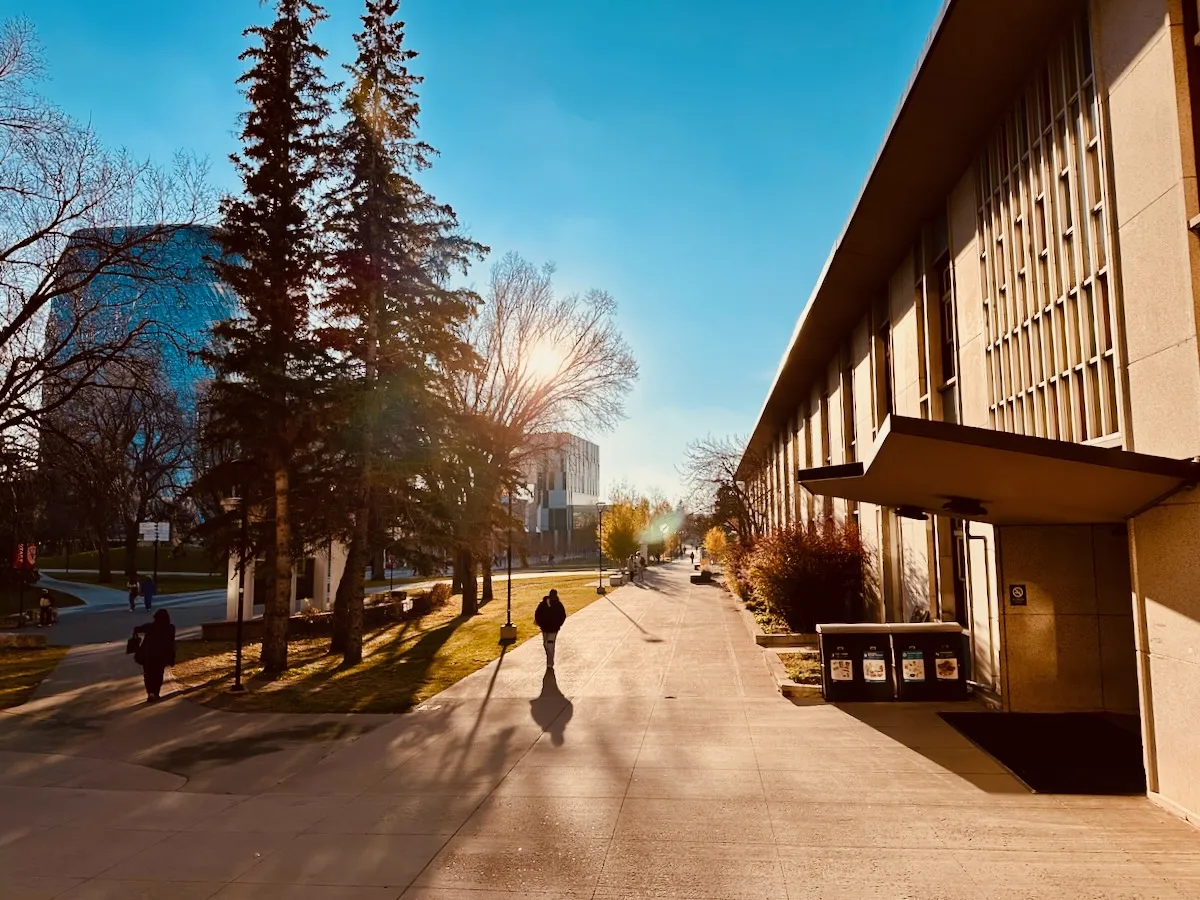 low autumn sun on campus