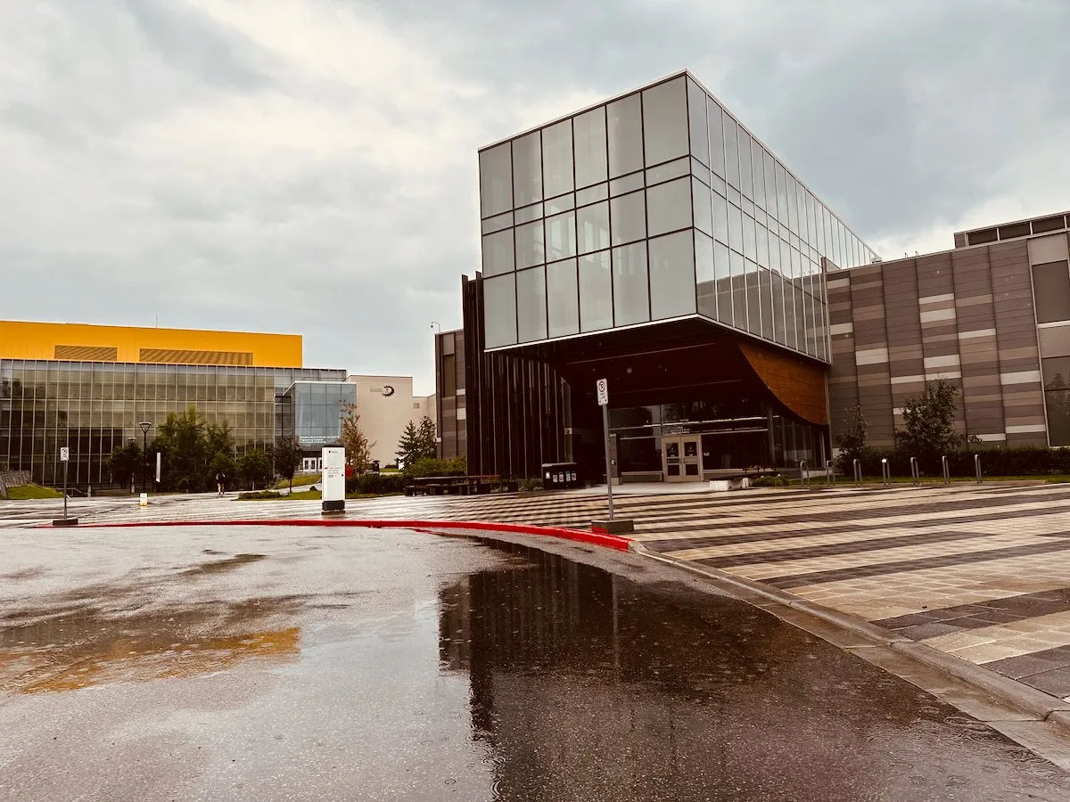 rainy TI