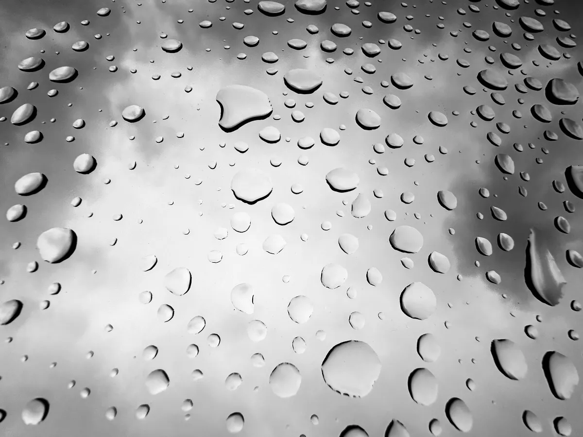 rainy moonroof
