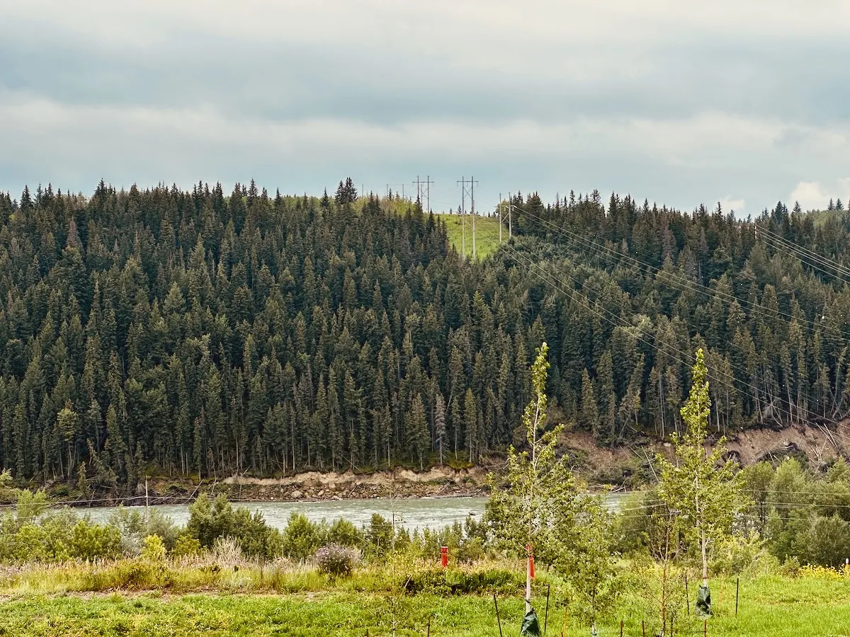 the other side of the tracks