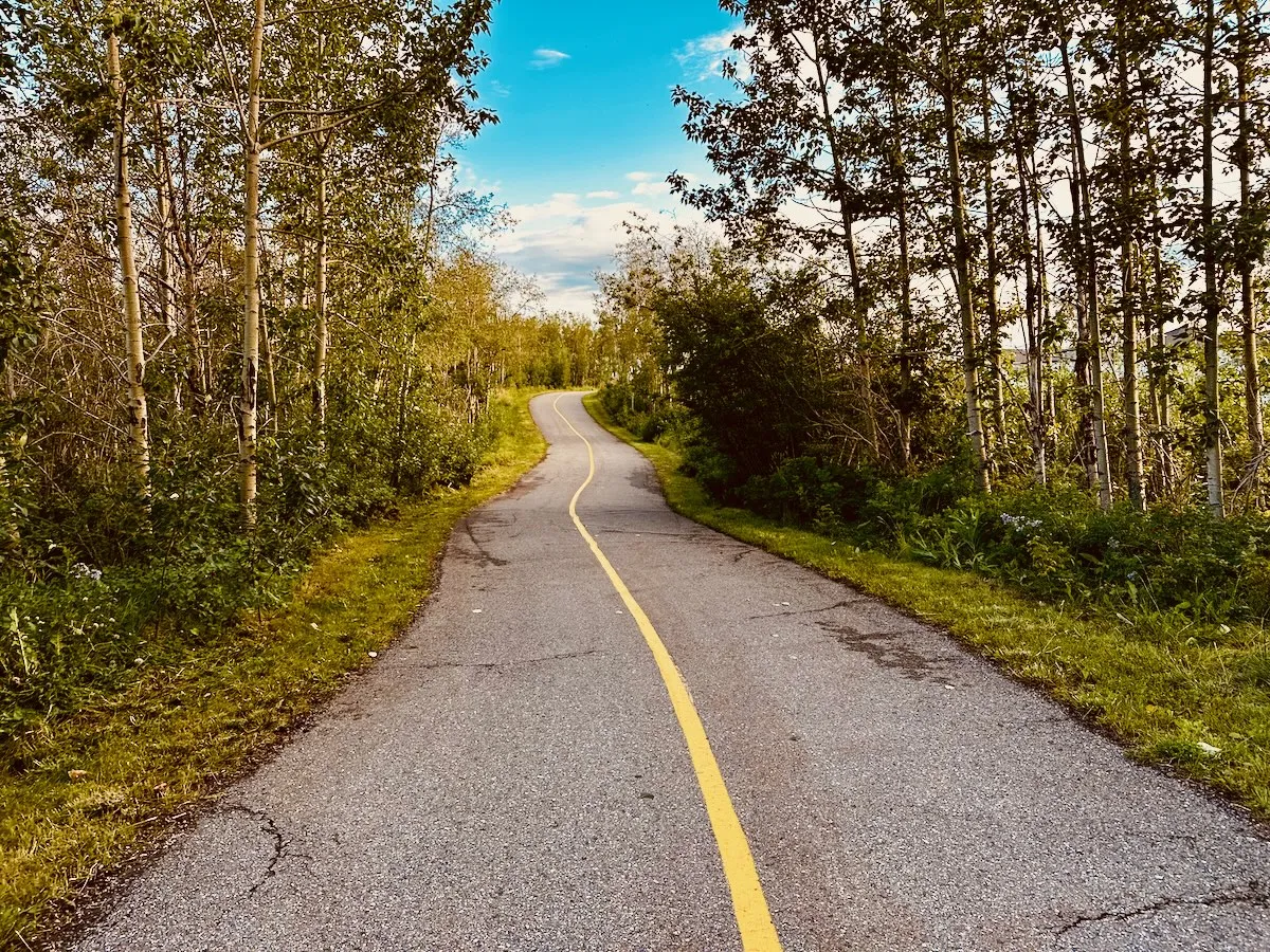 evening neighbourhood stroll