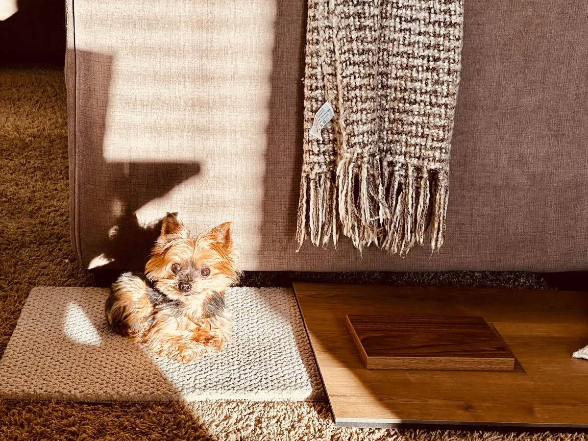 design assistant