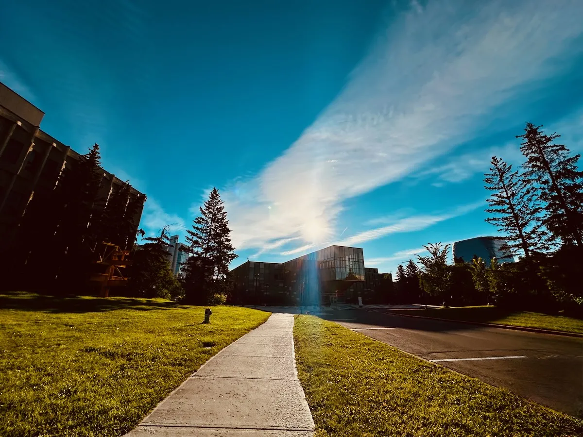 summer morning walk