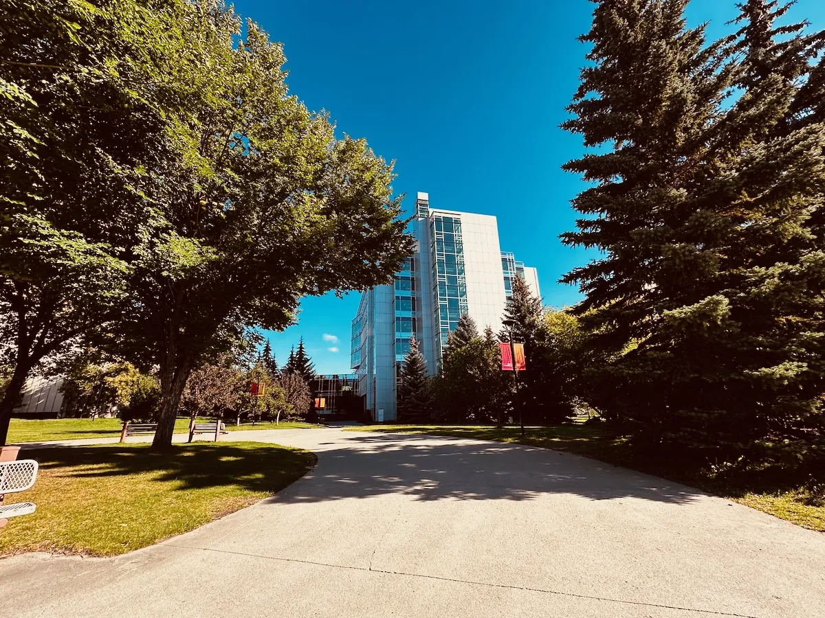 coffee meeting commute