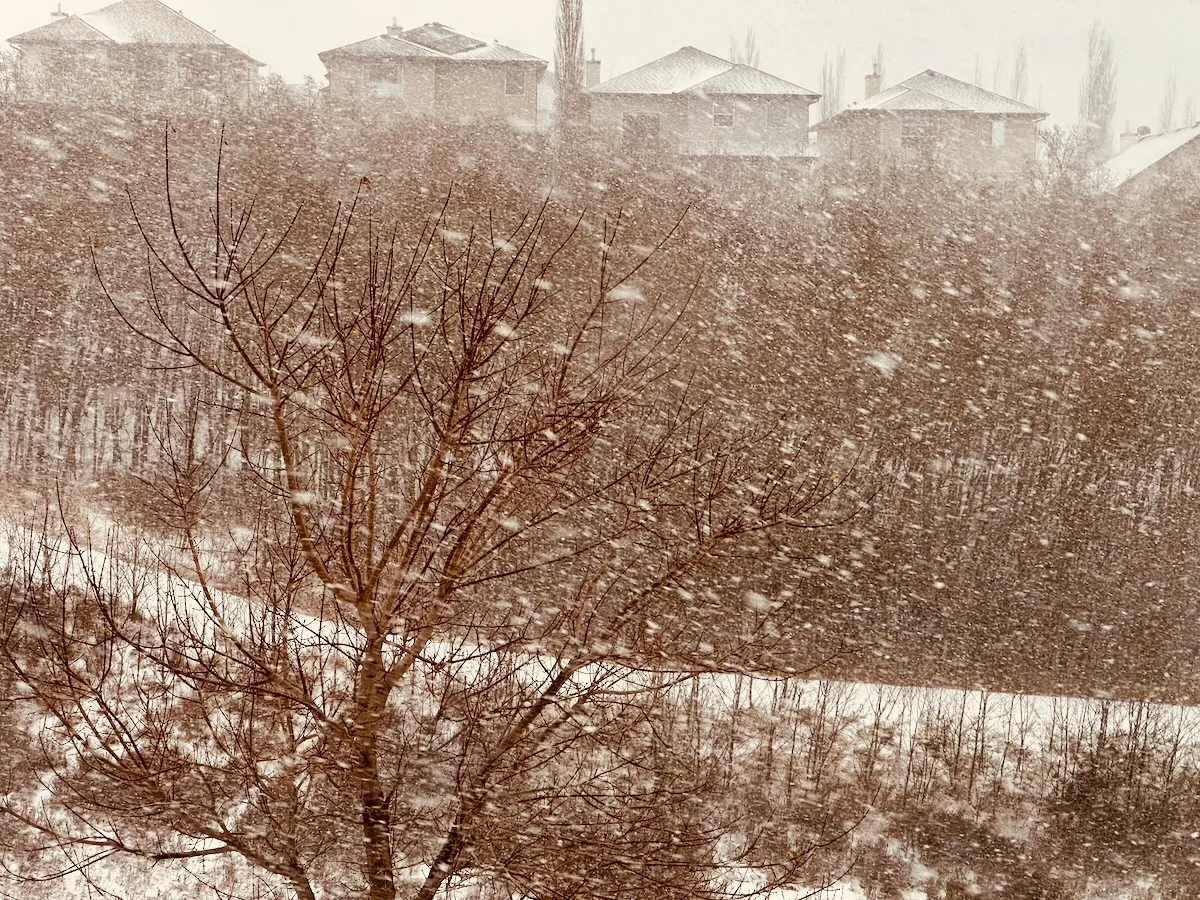 poster image for video