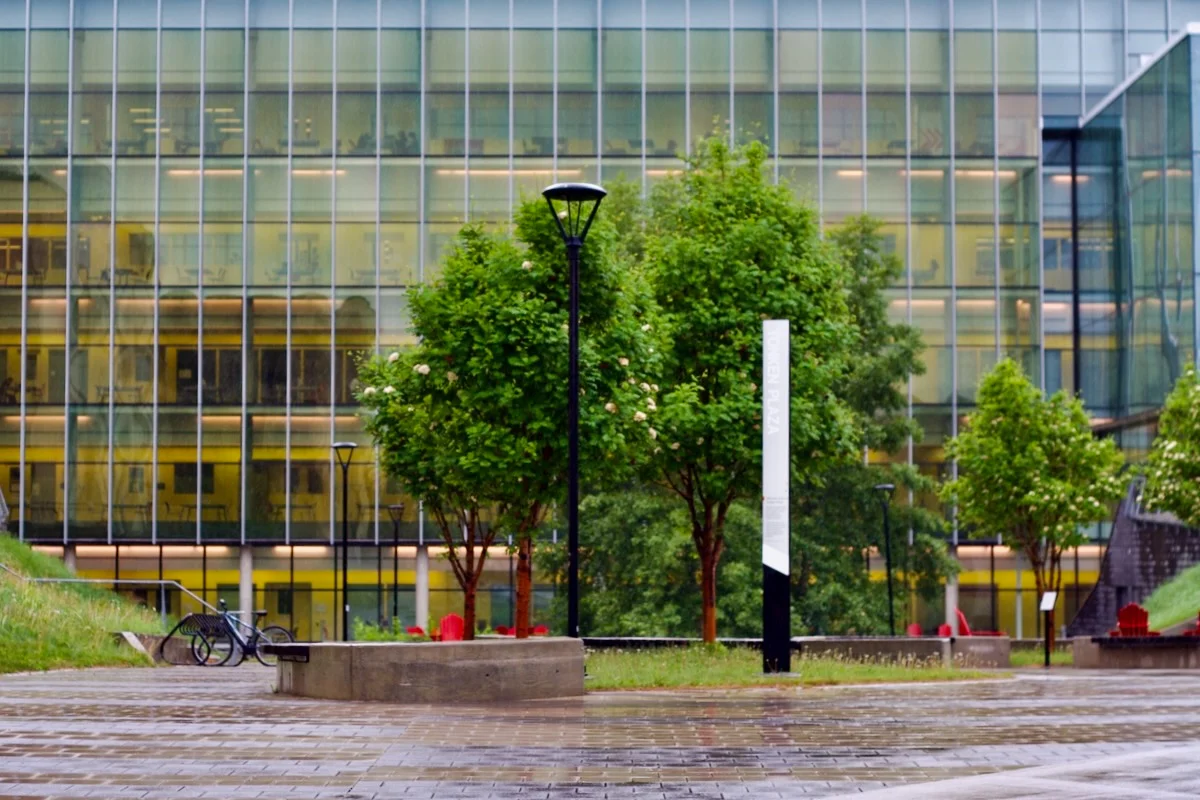 A modern urban plaza features a wet paved courtyard with young trees, black street lamps, and a white sculptural element, set against a backdrop of a contemporary glass and metal office building with yellow-toned interior lighting.