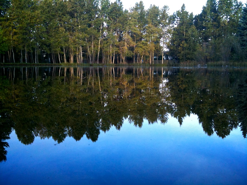 2009-09-09 calmness