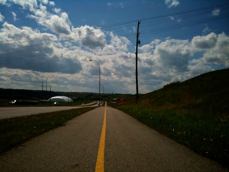 2010-06-11 pathway lines.jpg