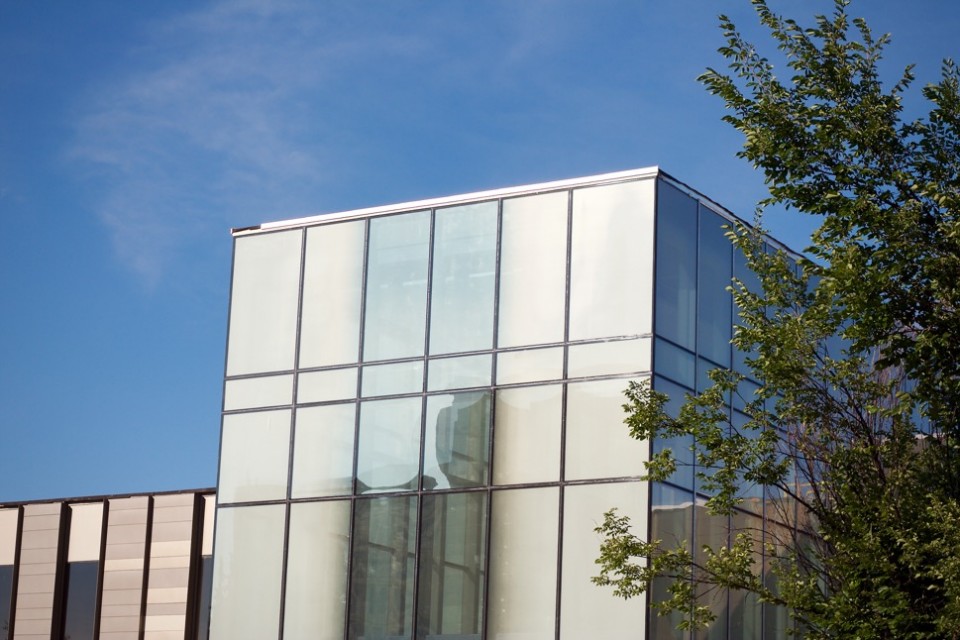 Taylor Institute lines