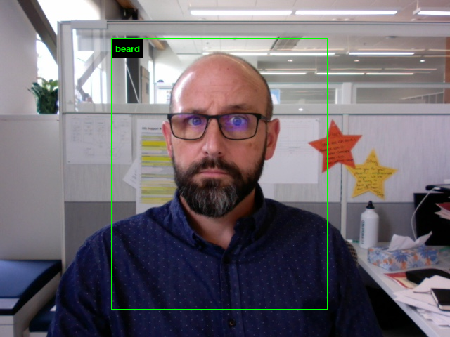 AI facial recognition categorization